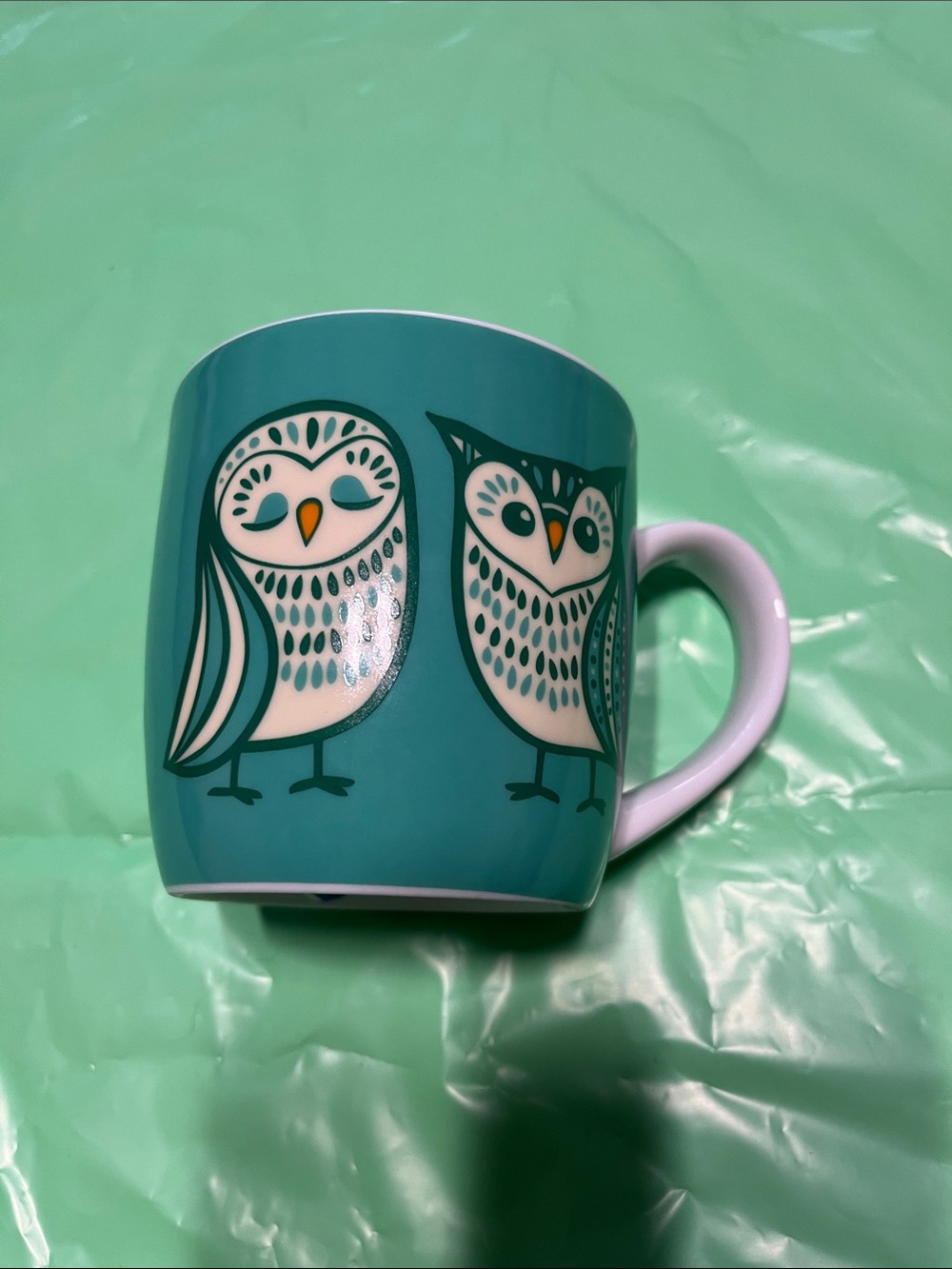 Teal Owl Ceramic Coffee Mug